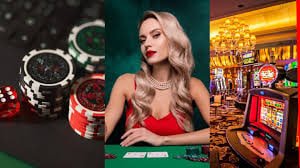 488 bet