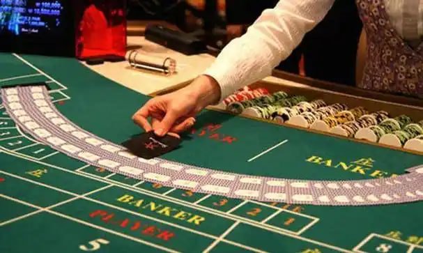 488 bet