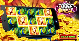 488 bet